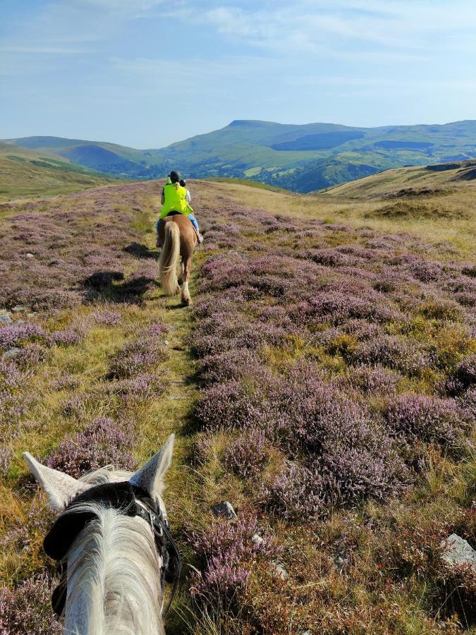 מלון Abercraf Pentre Riding Stables מראה חיצוני תמונה
