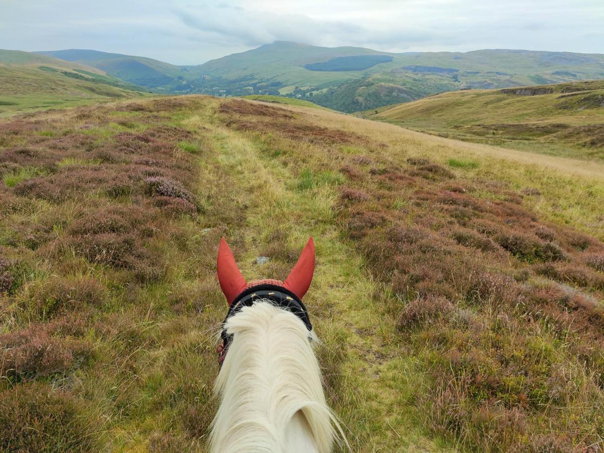 מלון Abercraf Pentre Riding Stables מראה חיצוני תמונה
